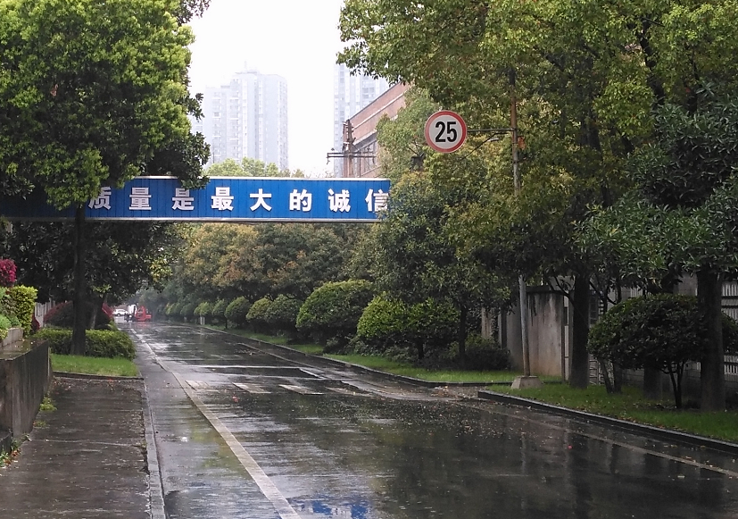 4949天空彩与你同行小说