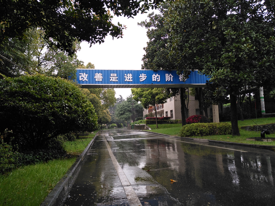 4949天空彩与你同行小说