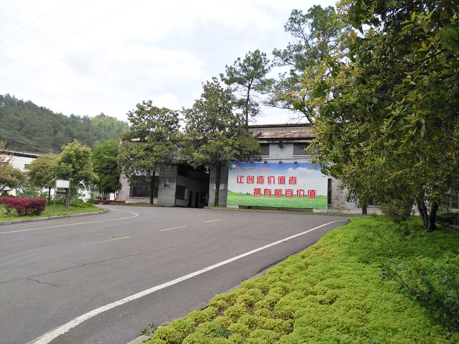 4949天空彩与你同行小说