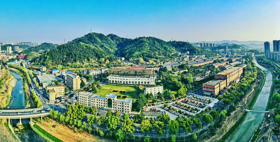 4949天空彩与你同行小说