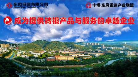 4949天空彩与你同行小说