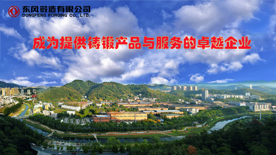 4949天空彩与你同行小说